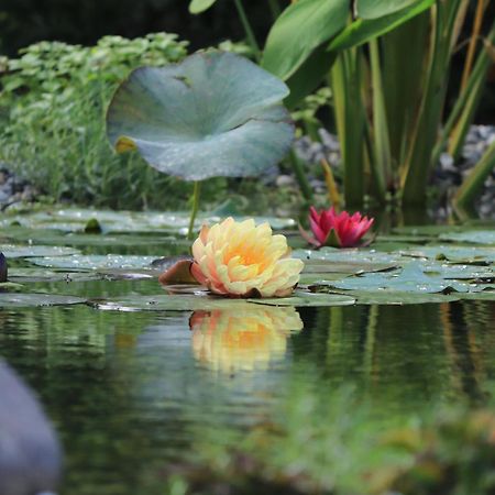 Profumo Di Casa Villa Trescore Balneario Exteriör bild